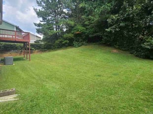 Paige A.'s Lawn Service service result