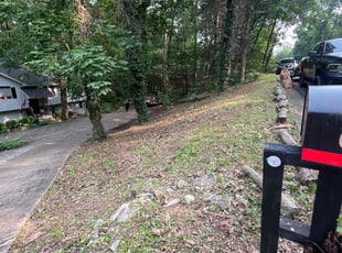Leaf Removal by Zariah Holden for Cynthia O. in Huntsville, AL