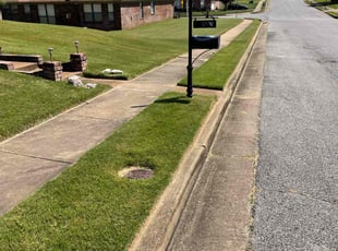 Brandi H.'s Lawn Service service result