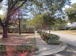 Bush Trimming by John Potter for M Robina B. in Dallas, TX