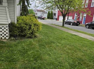Claude S.'s Lawn Care service result