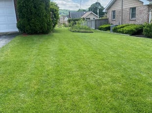Laurie C.'s Lawn Care service result
