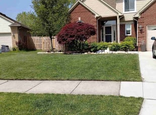 Angela G.'s Grass Cutting service result