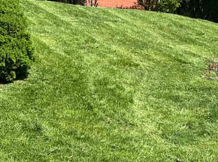 Matt M.'s Yard Cutting service result