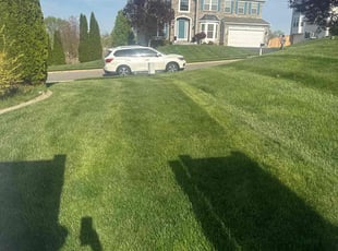David N.'s Lawn Mowing service result
