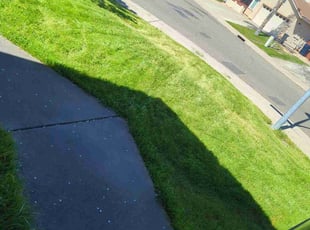 Kat D.'s Lawn Mowing service result