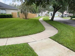 Jeffrey K.'s Grass Cutting service result