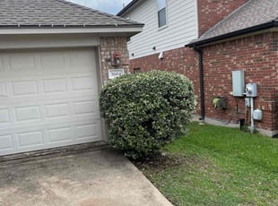 Bush Trimming by Trae Tindall for Shade Y. in Round Rock, TX