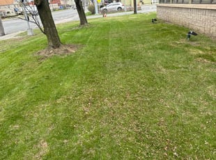 Will J.'s Lawn Maintenance service result