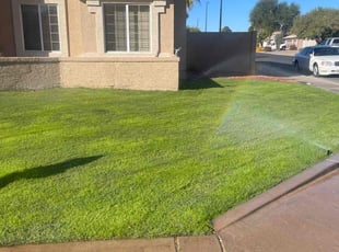 Cristian S.'s Grass Cutting service result