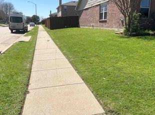 Anne L.'s Lawn Mowing Service service result