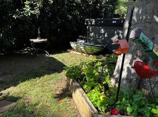 Leaf Removal by William Dickinson for Diane D. in Fort Worth, TX