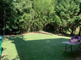 Irene A.'s Grass Cutting service result