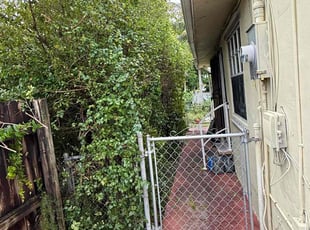 Bush Trimming by Jerry Etienne for Jun Z. in Miami, FL
