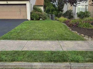 Andrea R.'s Lawn Mowing service result