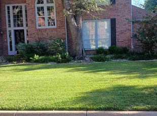 Selbia R.'s Grass Cutting service result