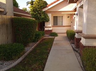 Bush Trimming by Rafael brambila for Ursula B. in Folsom, CA