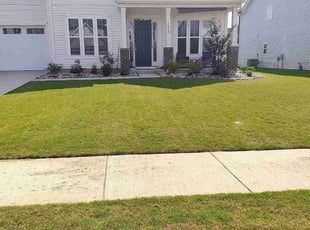Donna G.'s Lawn Service service result