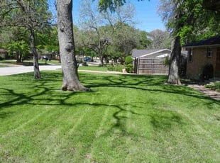 Carly B.'s Lawn Mowing service result