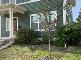 Bush Trimming by Connor Doyle for Becca F. in Minneapolis, MN