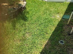 Weeding by Archie Smith for Jeanne H. in Riverview, FL