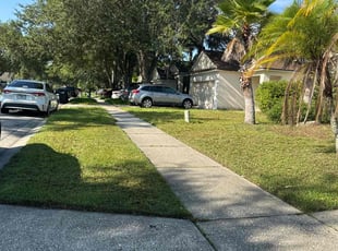 Michael B.'s Lawn Care service result