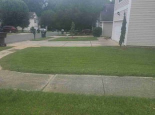 Elizabeth A.'s Lawn Service service result