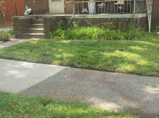 Deborah S.'s Lawn Mowing service result