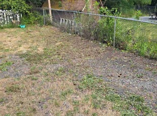 Cleanups by Troy Allman for Michelle l. in Spanaway, WA