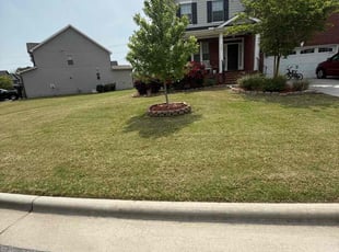 Connie R.'s Lawn Service service result