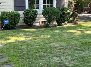 Bush Trimming by Gabriel Aldrete for Greg S. in Sacramento, CA