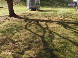 Leaf Removal by Jacob Jumper for James M. in Plainfield charter Township, MI