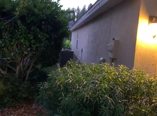 Bush Trimming by Edward Deleon for Antonio R. in Orange Park, FL