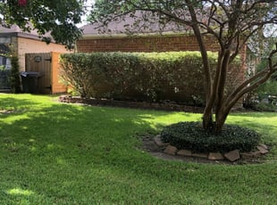 Bush Trimming by Omar MartÃnez for Jennifer M. in Spring, TX