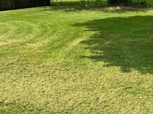 Kerrie P.'s Lawn Care service result