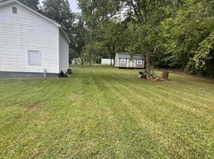 Denika M.'s Yard Cutting service result