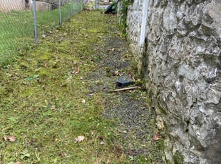 Cleanups by Henry Rojas for Lisa W. in Waterbury, CT