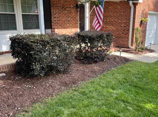 Bush Trimming by Joel Balsiger for Mark S. in Charlotte, NC