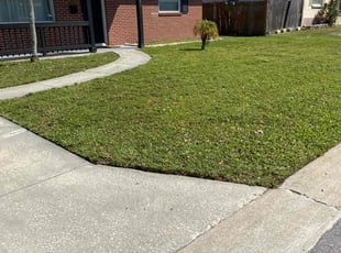 Korey M.'s Lawn Mowing service result