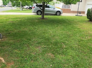 Bush Trimming by Theresa Coles for Bryant N. in Mebane, NC