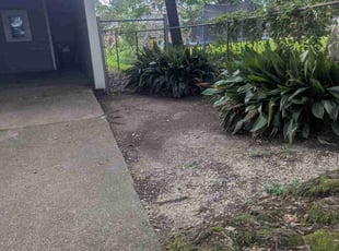 Cleanups by Randall Mergist for Michael H. in Lafayette, LA
