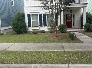 Alicia C.'s Lawn Maintenance service result