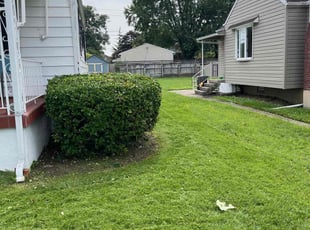 Bush Trimming by Antoine Ruffin for Derrick I. in Baltimore, MD