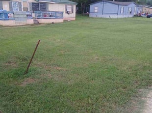 Danielle W.'s Lawn Service service result