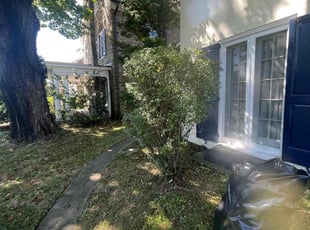 Bush Trimming by Kevin Pagan for Celeste A. in Philadelphia, PA