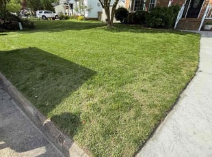 Michael H.'s Lawn Service service result