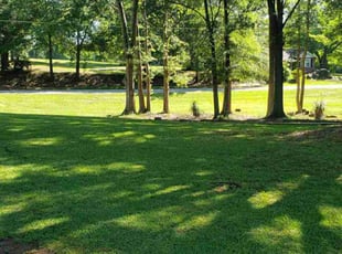 Clara M.'s Lawn Mowing service result