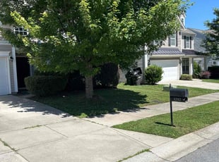 In-Hye S.'s Lawn Mowing service result