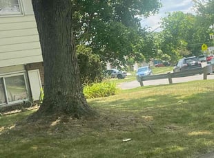 Bush Trimming by Dwayne Galloway for David j. in Columbus, OH