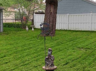 Chadwick P.'s Lawn Maintenance service result
